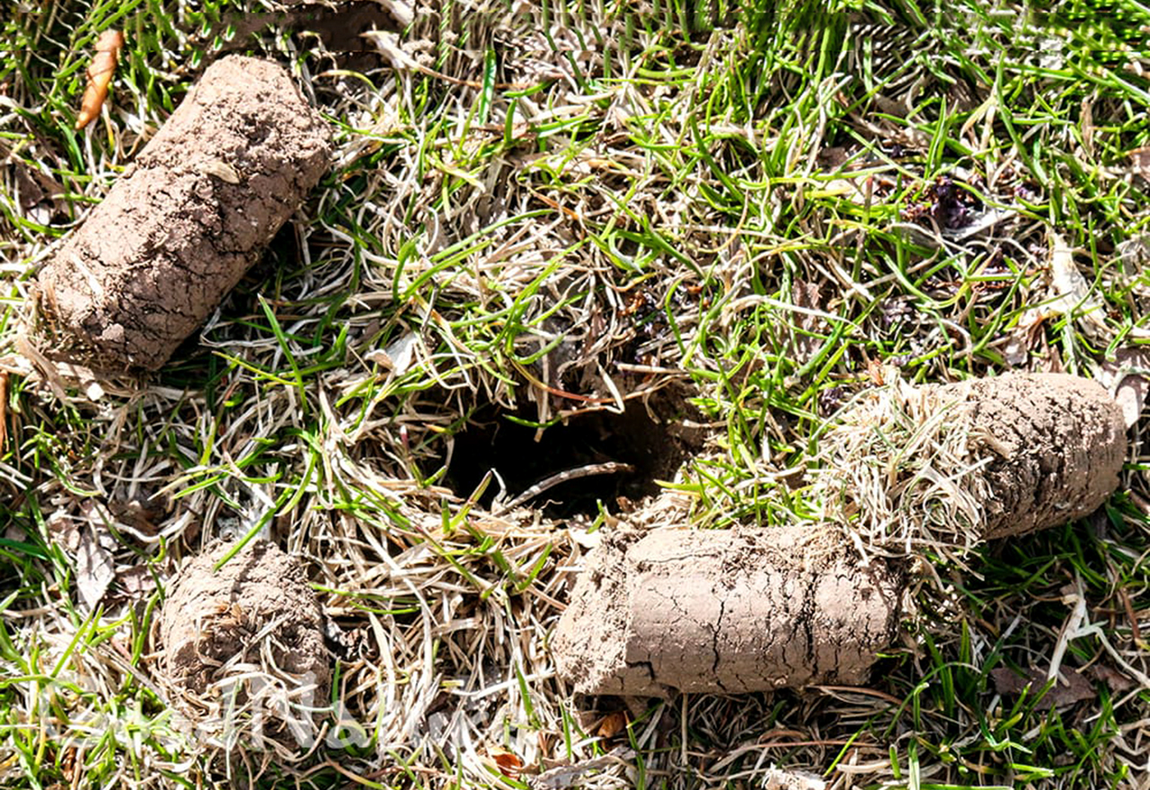 Machine to make holes in online lawn